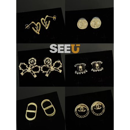 Chanel, ysl, Valentino, Dior, Celine, Gucci, accessories, earrings, bracelets, necklaces 004